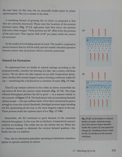 Cover of The Fourth Phase of Water Beyond Solid, Liquid, and Vapor